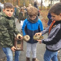 Vogelbeobachtung am Störck